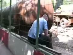 Behind the vehicle, a skinny Russian dilettante playgirl urinates in her underwear.